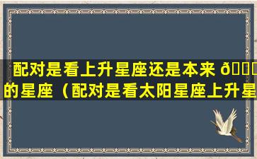 配对是看上升星座还是本来 🐛 的星座（配对是看太阳星座上升星座还是月亮星座）